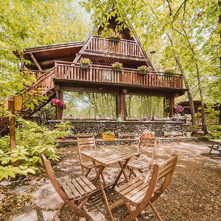 Matilde'S Chalet Etna Nature House ニコロージ エクステリア 写真