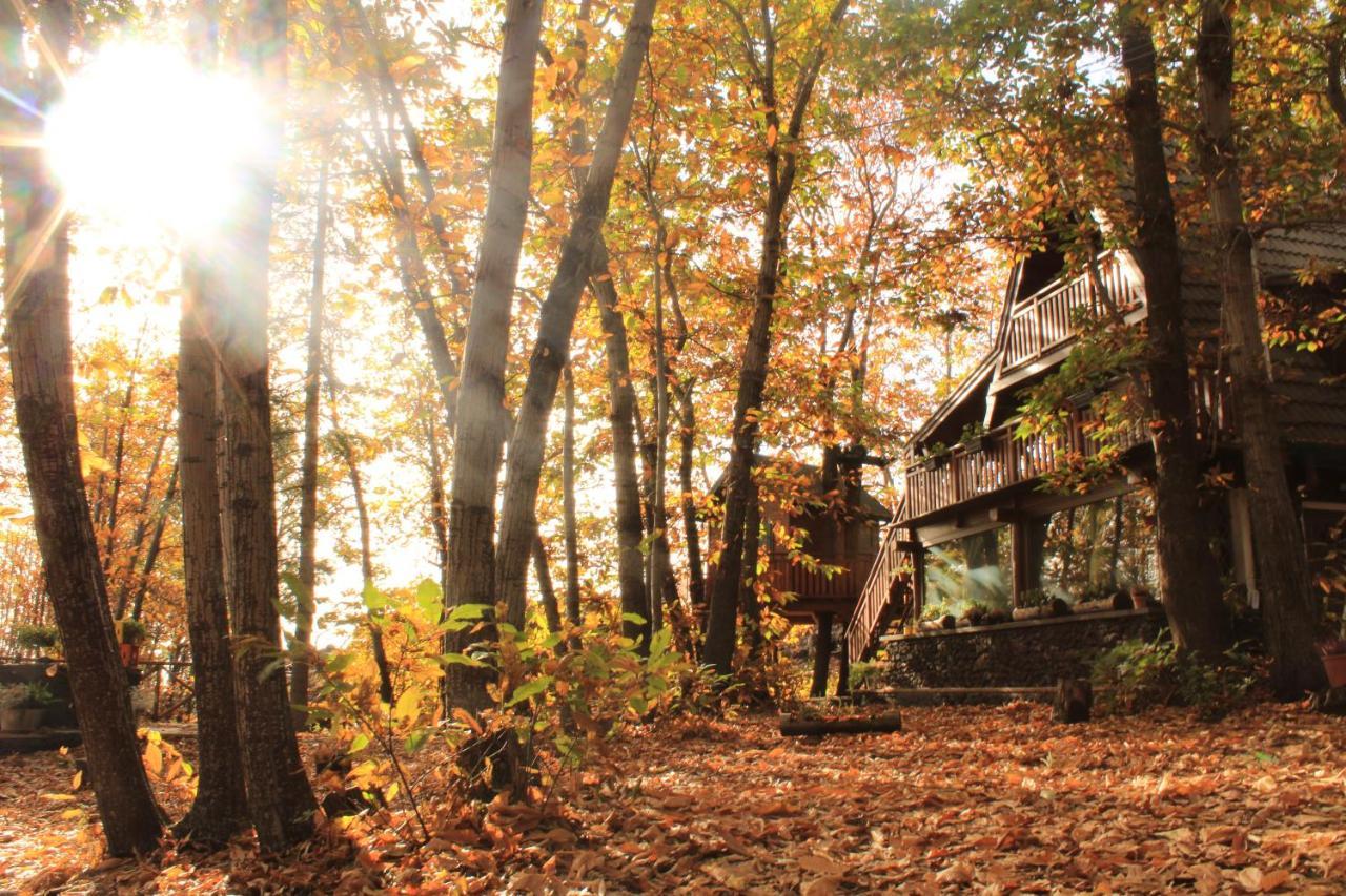 Matilde'S Chalet Etna Nature House ニコロージ エクステリア 写真