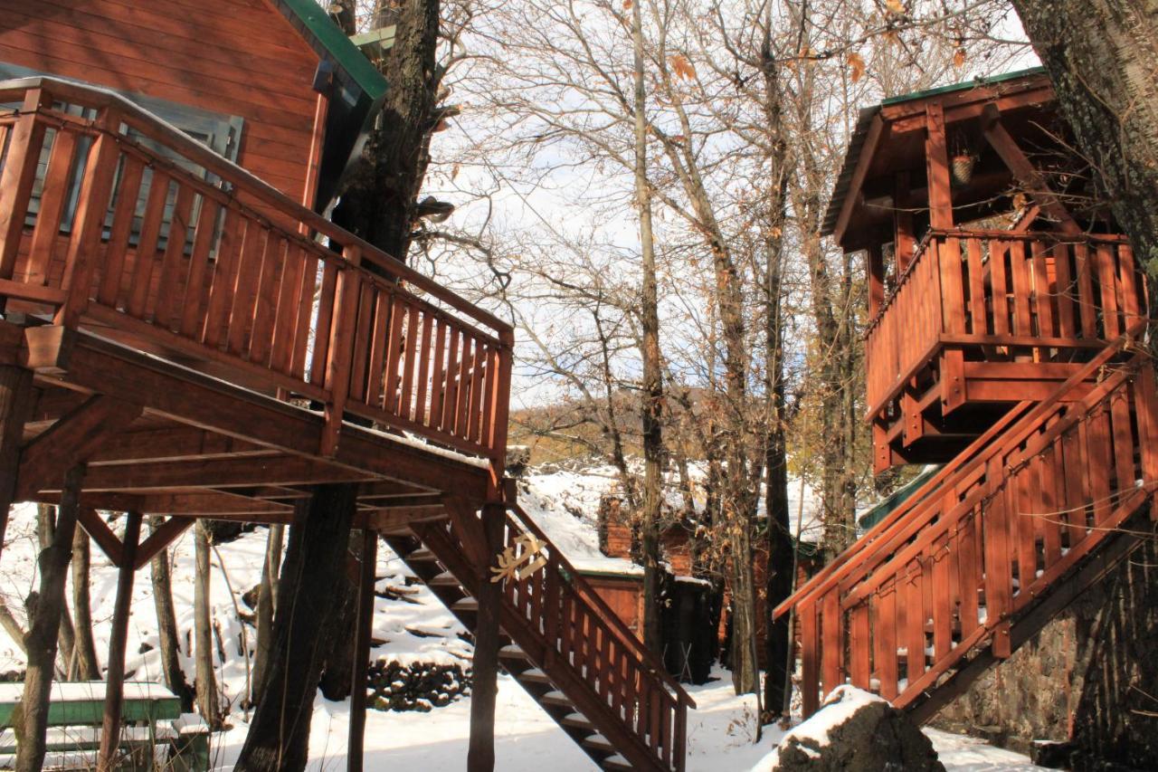 Matilde'S Chalet Etna Nature House ニコロージ エクステリア 写真
