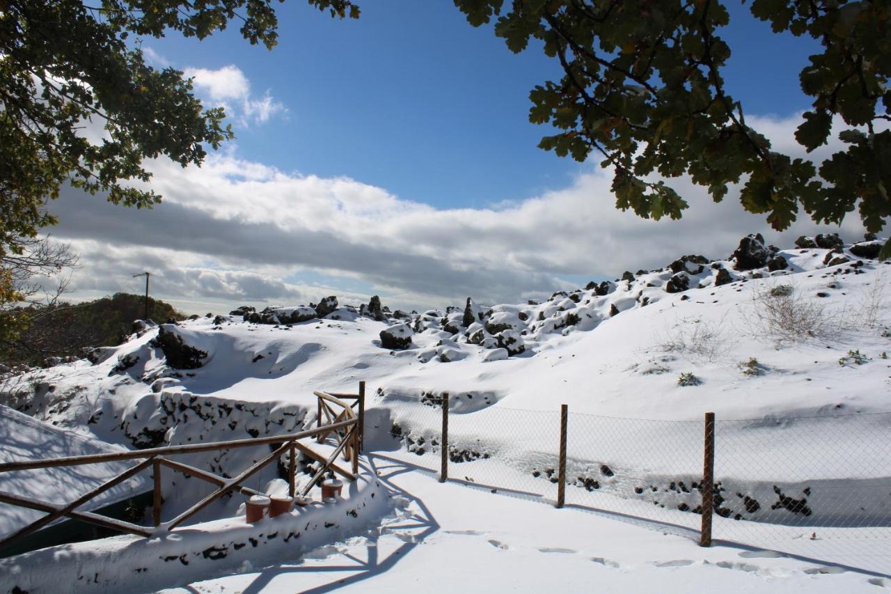 Matilde'S Chalet Etna Nature House ニコロージ エクステリア 写真