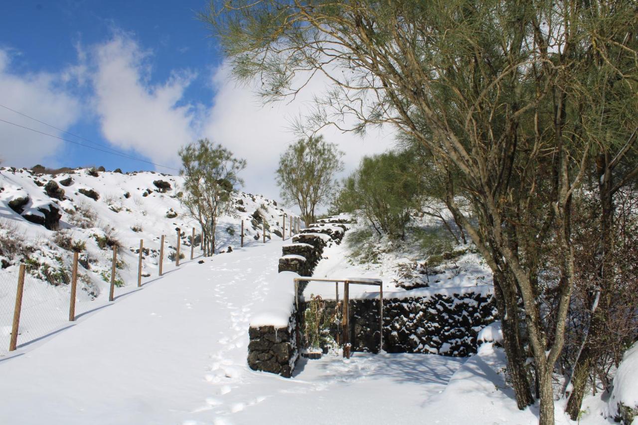 Matilde'S Chalet Etna Nature House ニコロージ エクステリア 写真