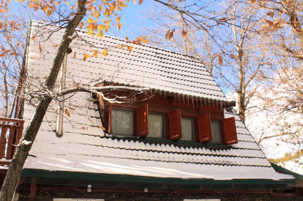 Matilde'S Chalet Etna Nature House ニコロージ エクステリア 写真