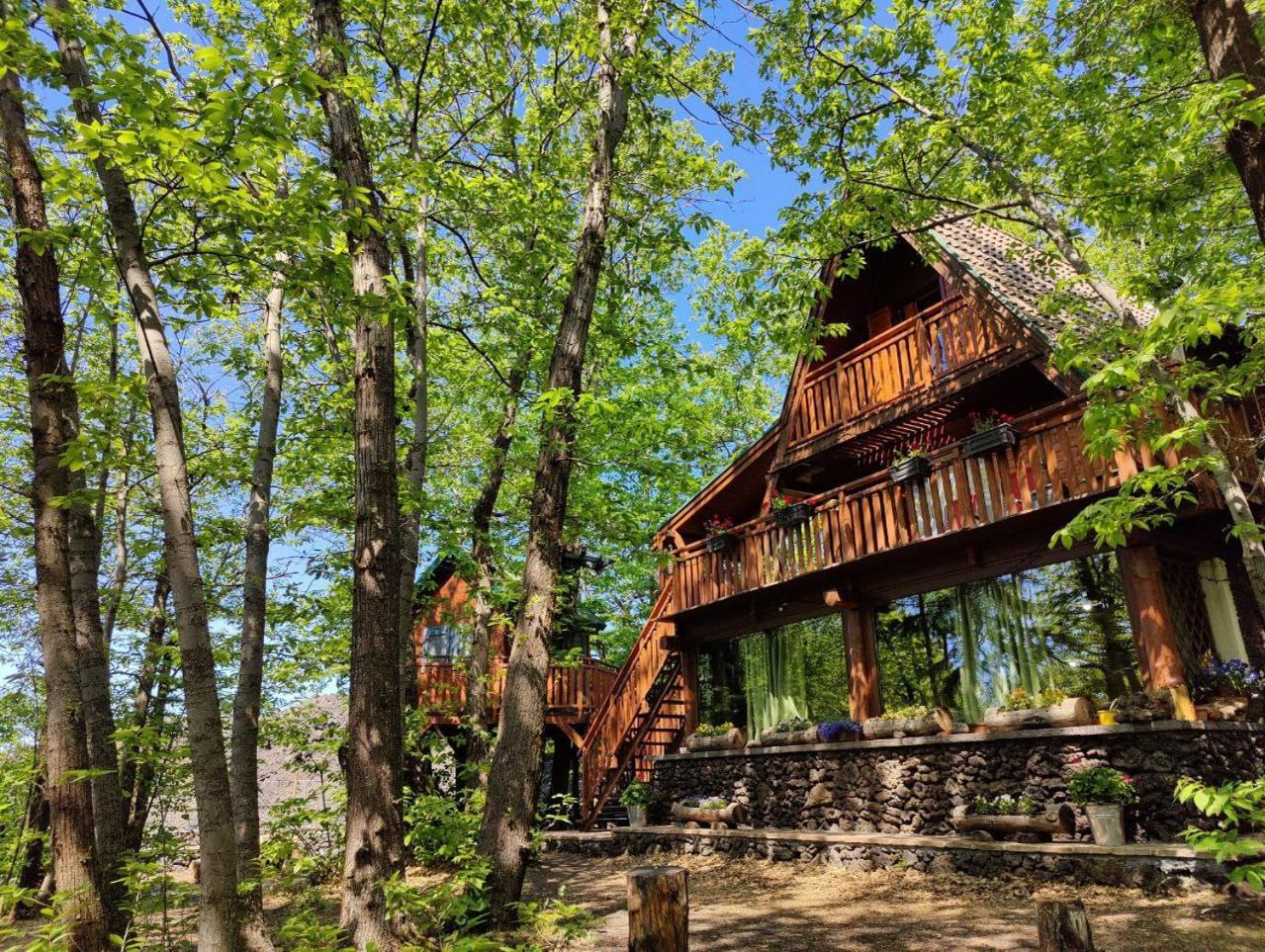 Matilde'S Chalet Etna Nature House ニコロージ エクステリア 写真