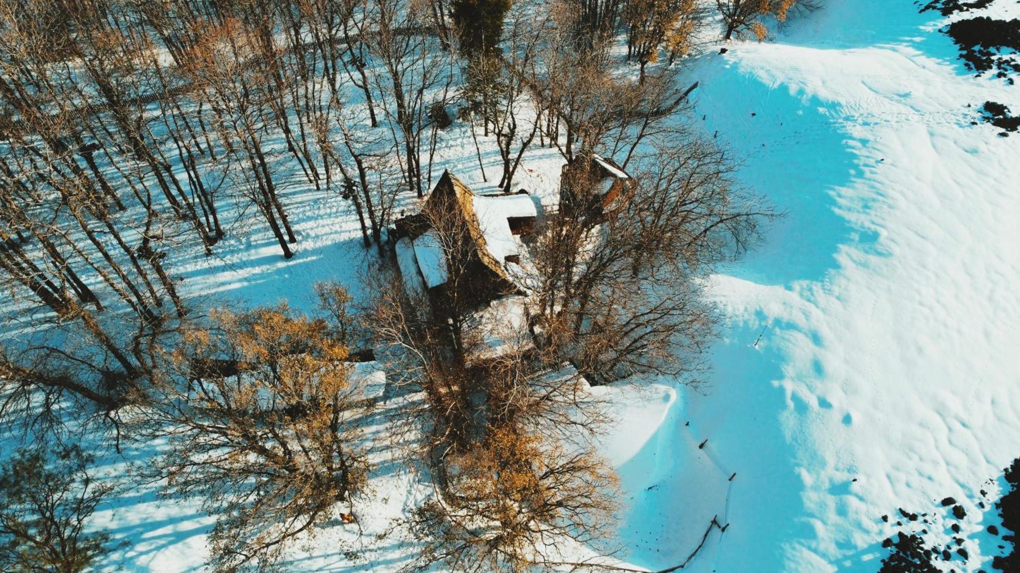 Matilde'S Chalet Etna Nature House ニコロージ エクステリア 写真