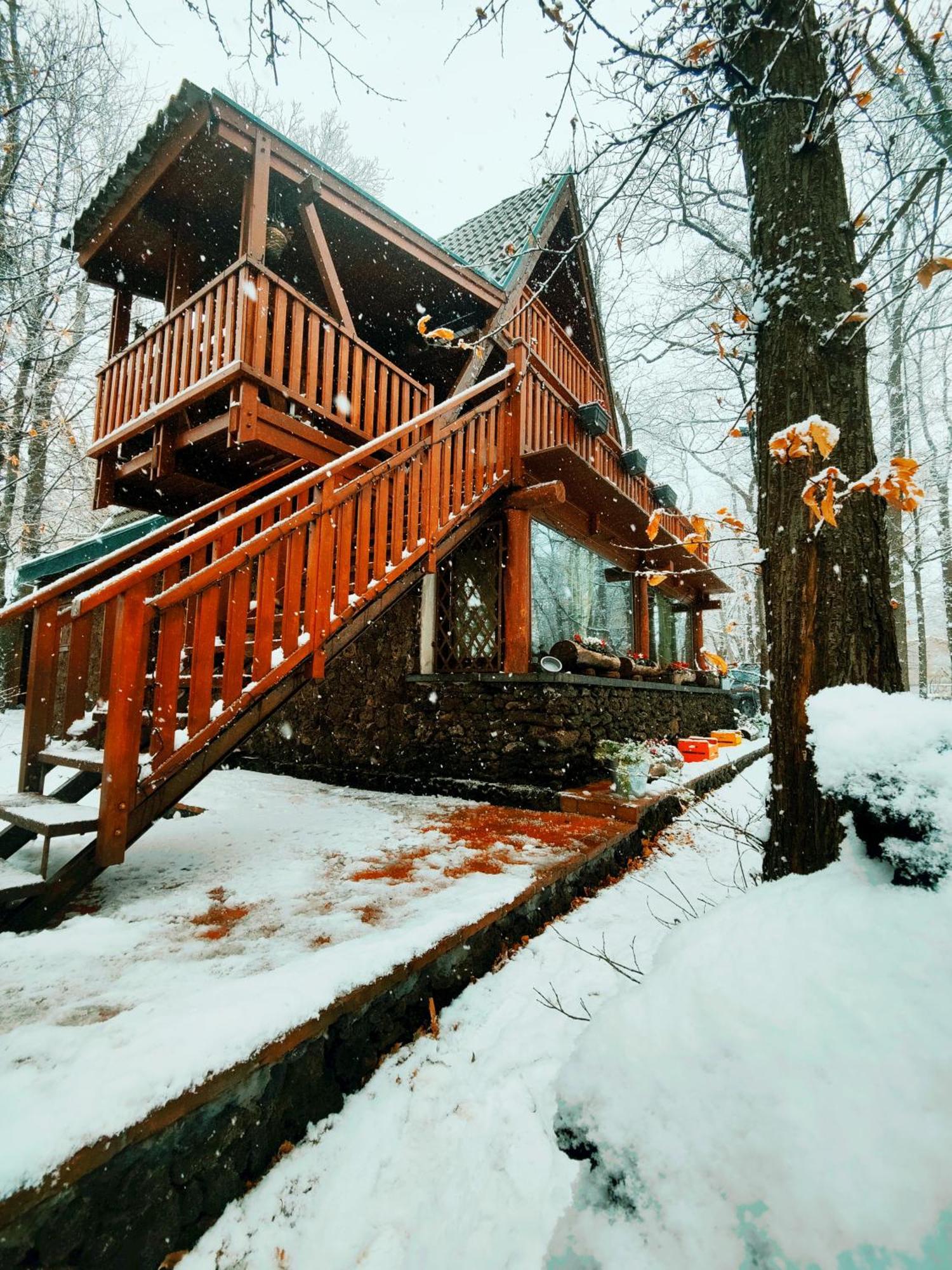 Matilde'S Chalet Etna Nature House ニコロージ エクステリア 写真