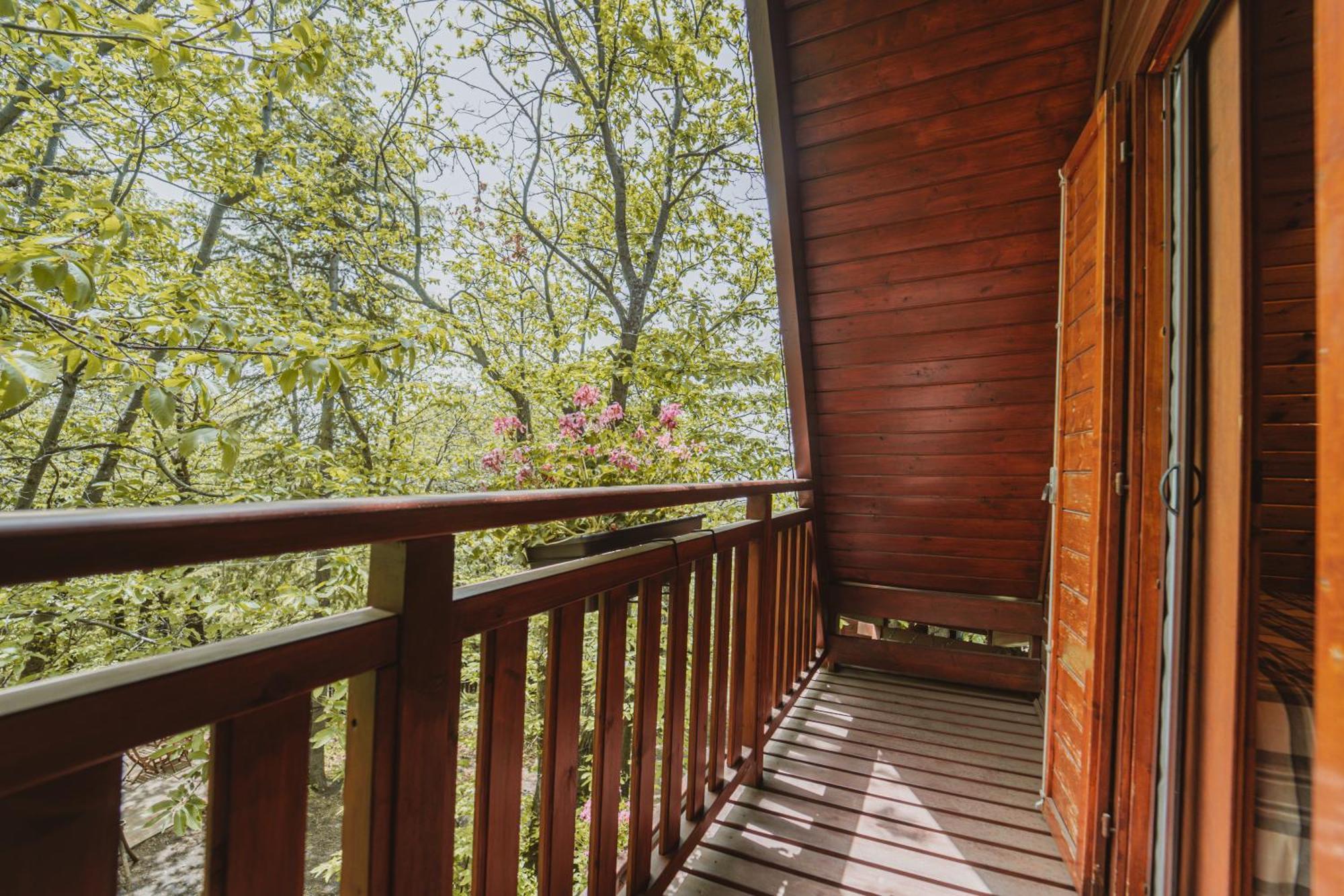 Matilde'S Chalet Etna Nature House ニコロージ エクステリア 写真
