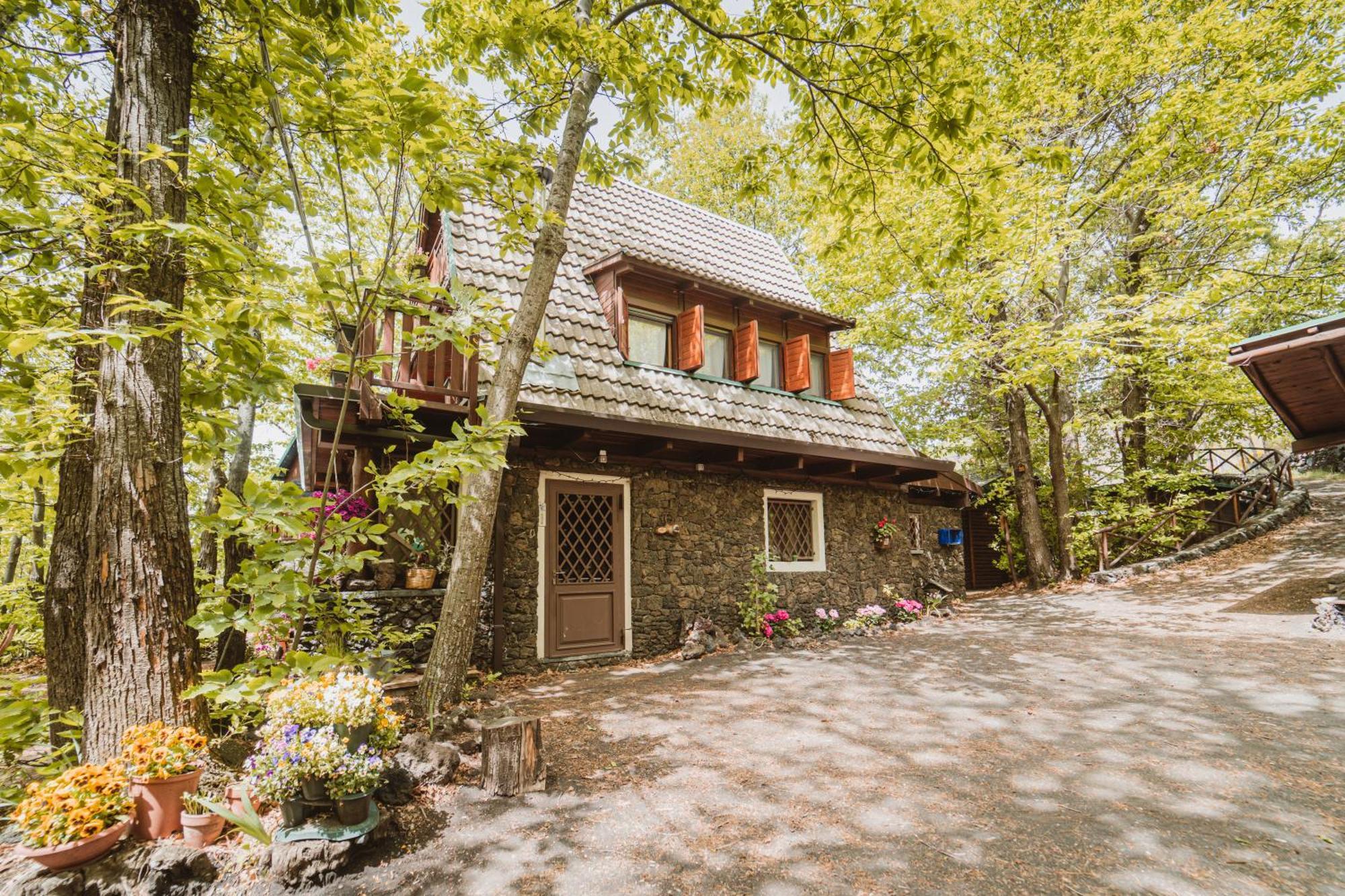 Matilde'S Chalet Etna Nature House ニコロージ エクステリア 写真