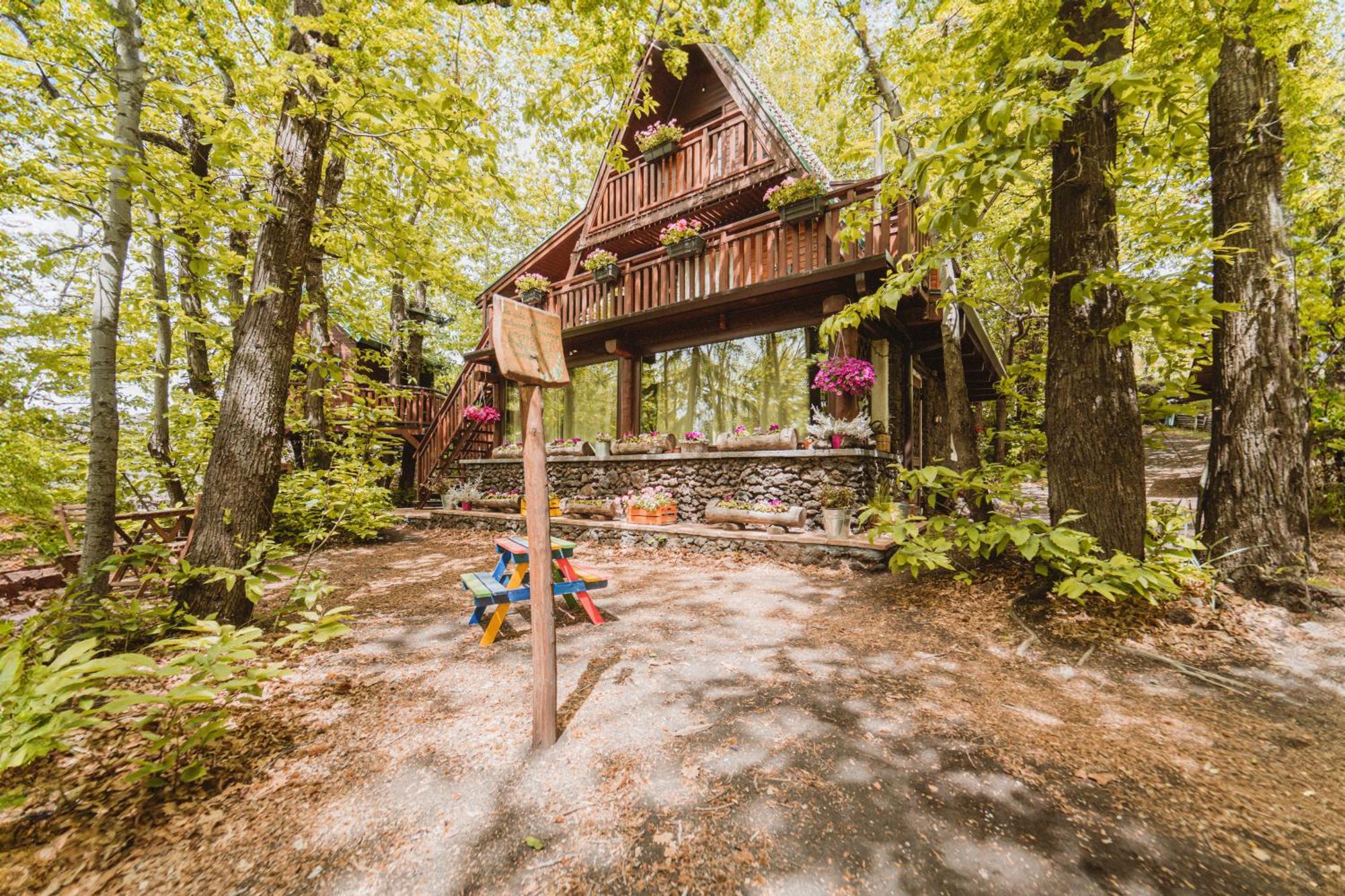 Matilde'S Chalet Etna Nature House ニコロージ エクステリア 写真