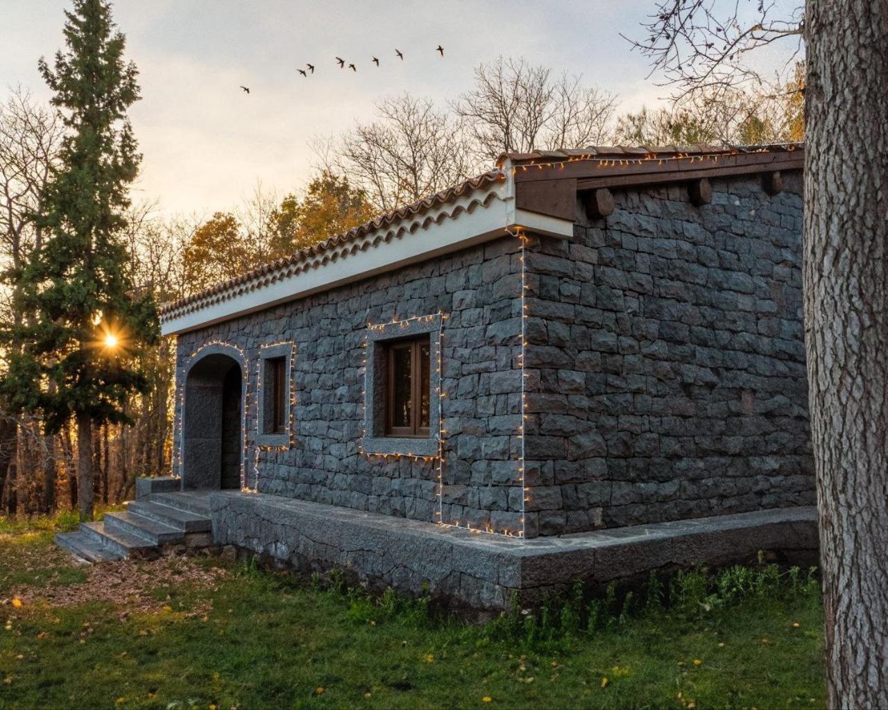 Matilde'S Chalet Etna Nature House ニコロージ エクステリア 写真